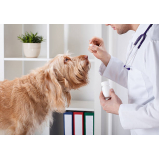 farmácia veterinária de manipulação contato Cinco Conjuntos