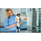 laboratório de medicina veterinária contato Quebec