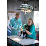 onde fazer cirurgia ortopédica para cães Vila Fraternidade