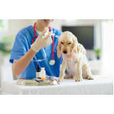 teste pcr leishmaniose canina clínica Rolância