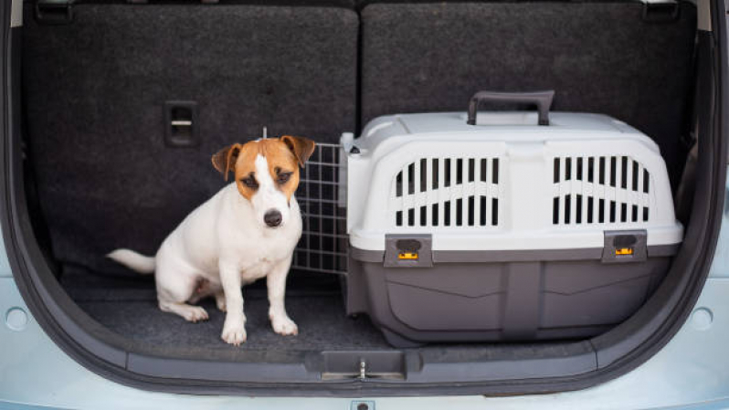 Transporte Taxi Pet Clínica Jardim Antares - Transporte de Uber de Animais